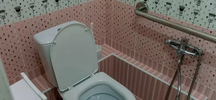 Meeting Diverse Needs With Accessible Restroom Solutions in Gatineau, QC